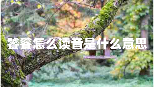 饕餮怎么讀音是什么意思 饕餮怎么讀音是什么意思