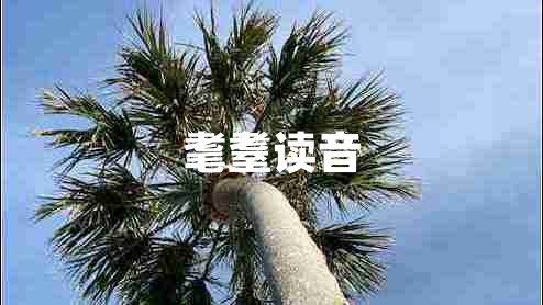 耄耋讀音 耄耋讀音