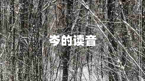 岑的讀音 岑的讀音