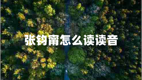 張鈞甯怎么讀讀音