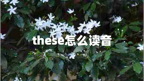 these怎么讀音