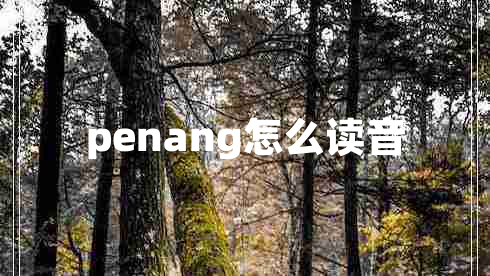 penang怎么讀音 penang怎么讀音