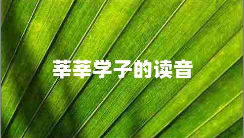 莘莘學(xué)子的讀音