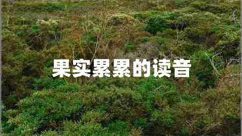 果實累累的讀音
