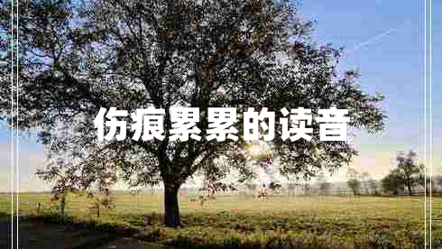 傷痕累累的讀音