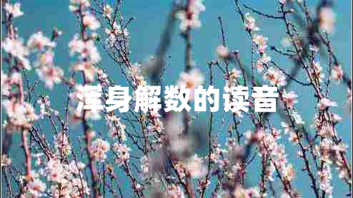 渾身解數(shù)的讀音