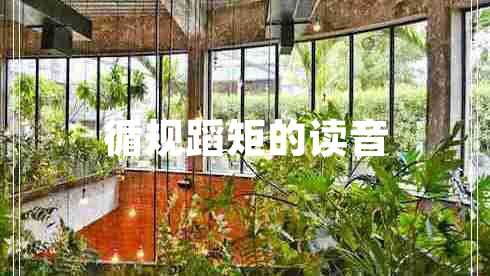 循規(guī)蹈矩的讀音