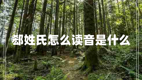 郄姓氏怎么讀音是什么