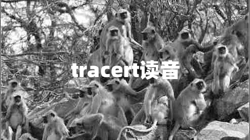 tracert讀音