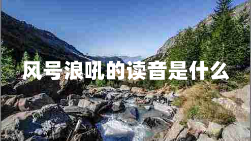 風號浪吼的讀音是什么