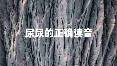 尿尿的正確讀音