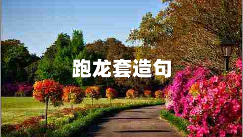 跑龍?zhí)自炀? title=