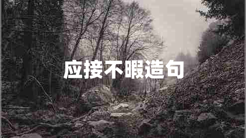 應(yīng)接不暇造句