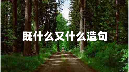 既什么又什么造句