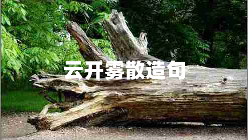 云開(kāi)霧散造句