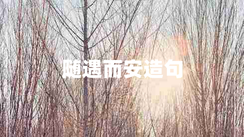 隨遇而安造句 隨遇而安造句