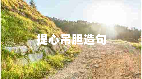 提心吊膽造句 提心吊膽造句