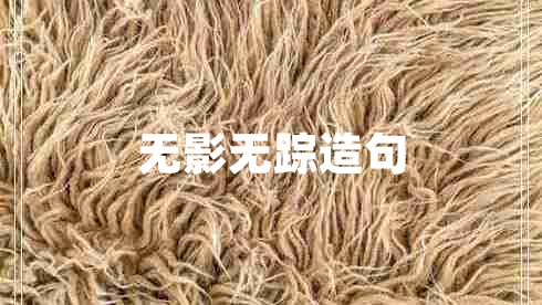 無(wú)影無(wú)蹤造句