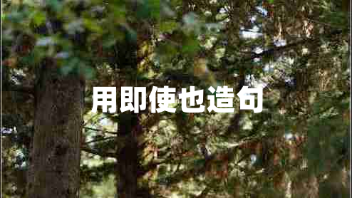 用即使也造句