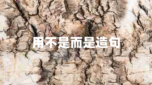 用不是而是造句 用不是而是造句