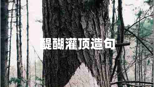 醍醐灌頂造句 醍醐灌頂造句