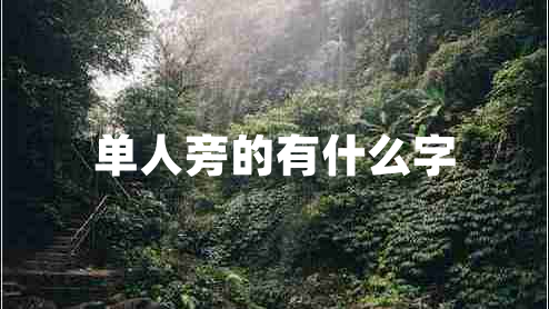 單人旁的有什么字