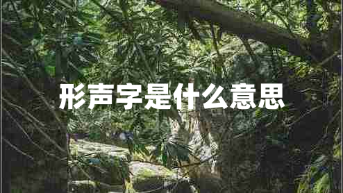 形聲字是什么意思