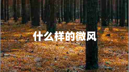 什么樣的微風 什么樣的微風