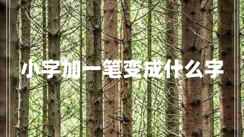 小字加一筆變成什么字