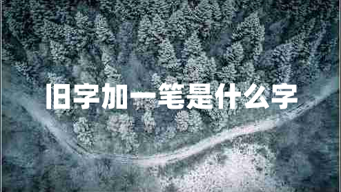 舊字加一筆是什么字