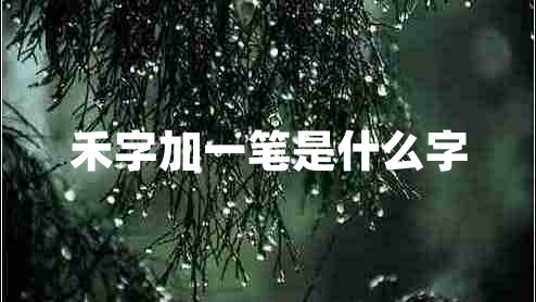 禾字加一筆是什么字 禾字加一筆是什么字