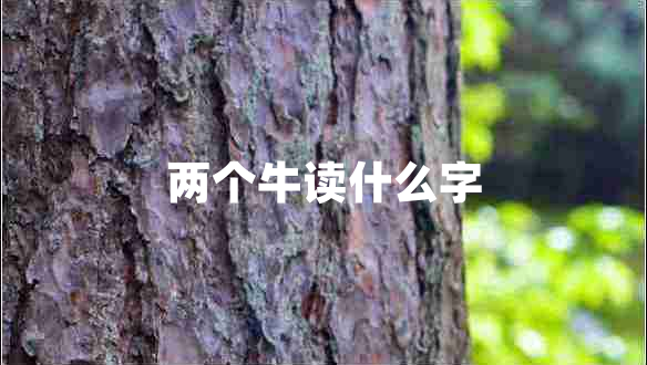 兩個(gè)牛讀什么字