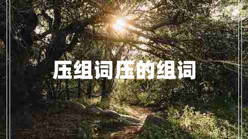 壓組詞壓的組詞 壓組詞壓的組詞