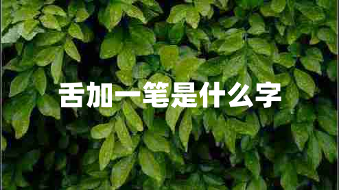 舌加一筆是什么字