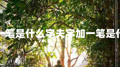 夫加一筆是什么字夫字加一筆是什么字