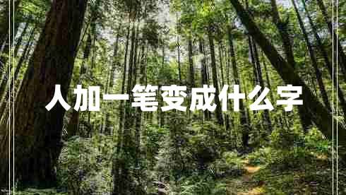 人加一筆變成什么字 人加一筆變成什么字