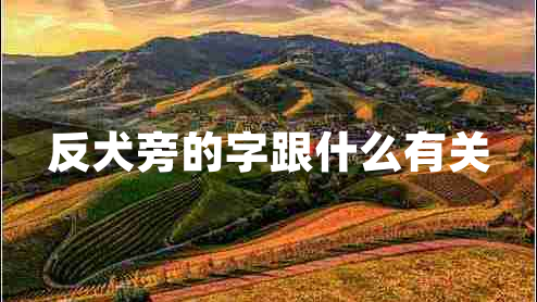 反犬旁的字跟什么有關(guān)