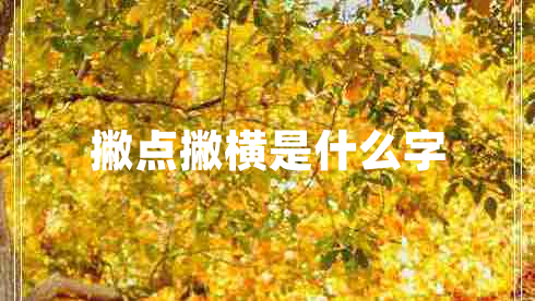 撇點撇橫是什么字