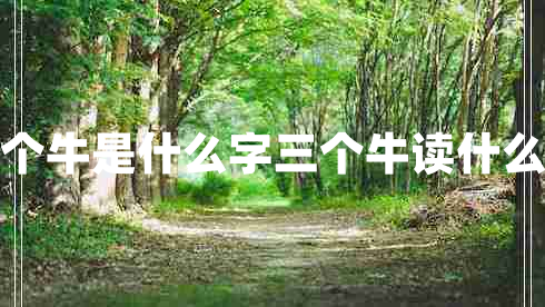 三個(gè)牛是什么字三個(gè)牛讀什么字