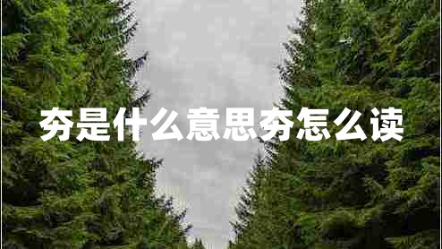 夯是什么意思夯怎么讀