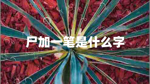 尸加一筆是什么字