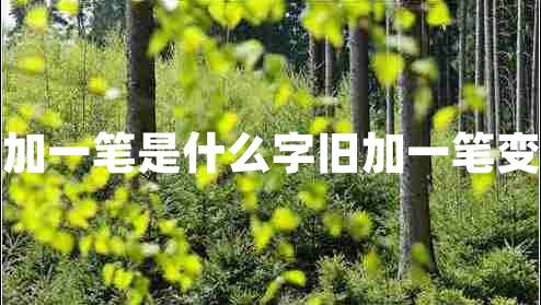 舊加一筆是什么字舊加一筆變字 舊加一筆是什么字舊加一筆變字