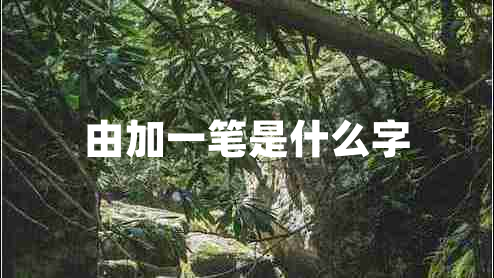 由加一筆是什么字