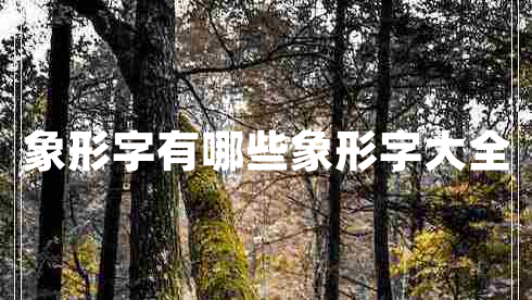 象形字有哪些象形字大全