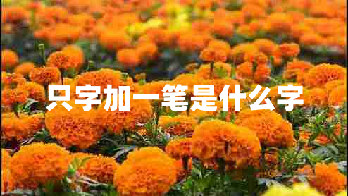 只字加一筆是什么字