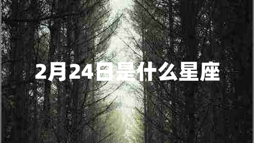 2月24日是什么星座