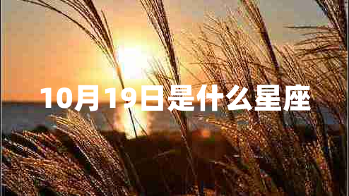 10月19日是什么星座