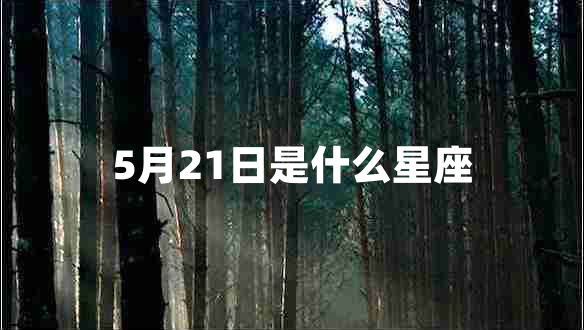 5月21日是什么星座