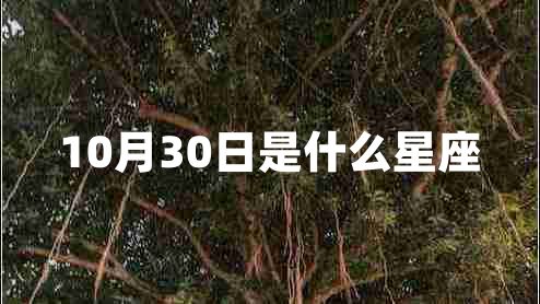 10月30日是什么星座