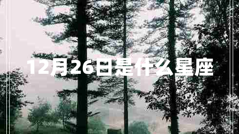 12月26日是什么星座